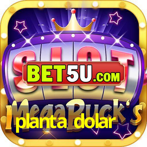 planta dolar